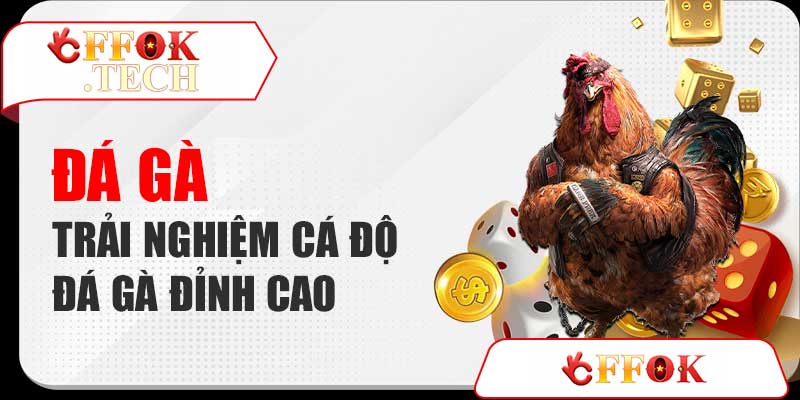 Đá gà ffok